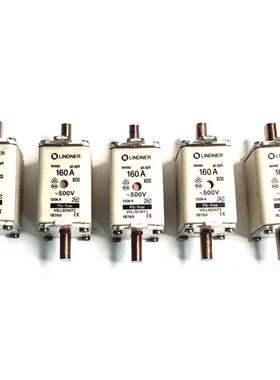 5件装Lindner NH-00 160安培500伏保险丝