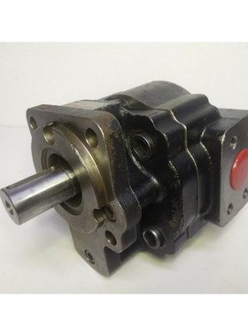 Macgregor P/N: 10002477 Hidráulico Engranaje Bomba