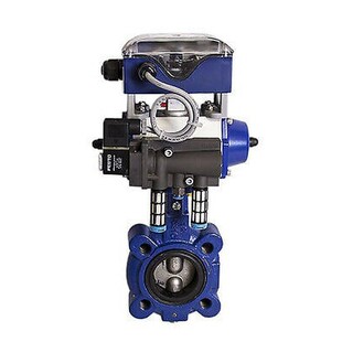 REVO RD70060050R0000 + CENTERLINE CRANE DN40 + FESTO MSFG-24