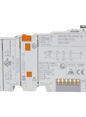 WAGO 750-461/000-003 2-KANAL-ANALOGEINGANG FüR PT1000-/RTD