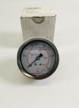 Hansaflex GMM 63-250H Manometer mit Glyzerinfüllung