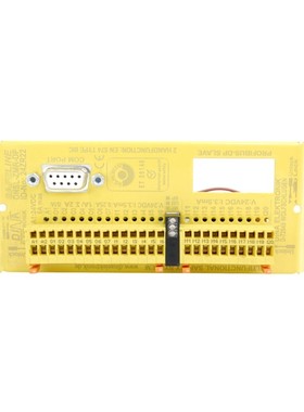 DINA-ELEKTRONIK DNSL-ZMR-DP ID 24ZR22 SAFELINE ZENTRALMODULE