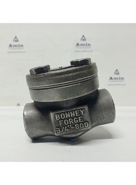 Bonney Forge 117562-0030 阀门尺寸:3/4 英寸 - 全新