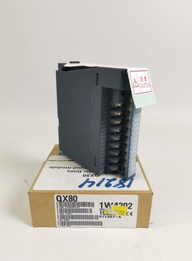 MITSUBISHI QX80 Eingangsmodul