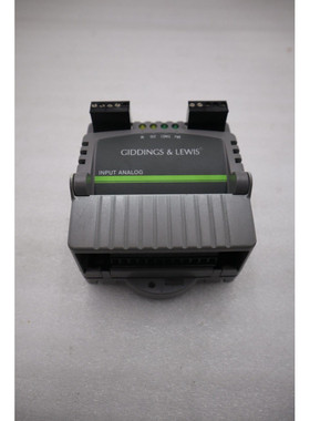Giddings And Lewis M.1017.3098 R0 P/N 503-25909-01 输入模拟