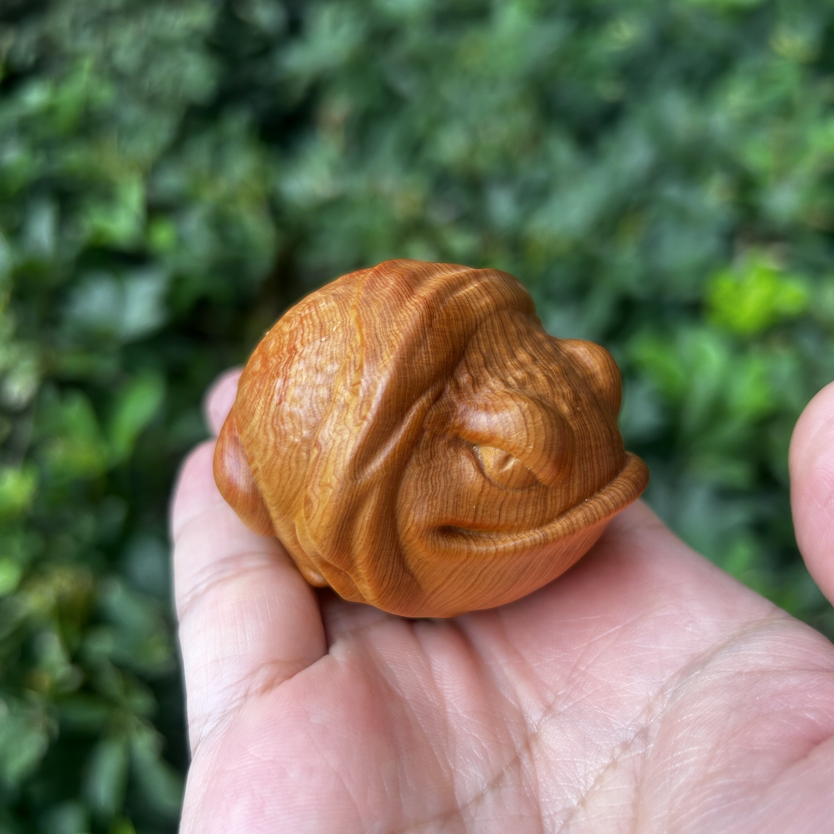 天然崖柏实木雕刻蟾蜍金蟾瓜瓜来财文玩手把件茶宠桌面工艺品摆件