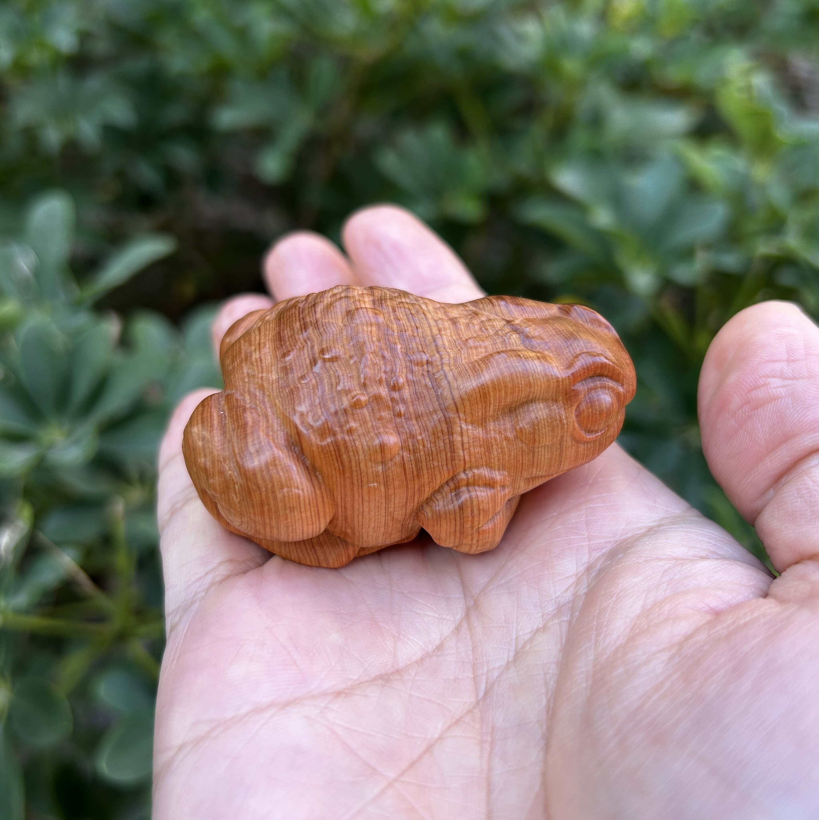 天然高油老料崖柏木雕刻蟾蜍金蟾瓜瓜来财文玩手把件茶宠桌面摆件