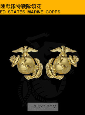 usmc陆战队领花礼服金属肩章镀金
