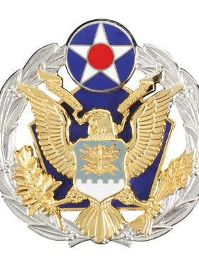 USAF美国空君总部勤务章资格章军迷金属徽章勋章帽徽礼服胸章肩章