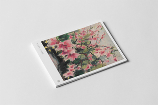 kp642花簇繁花干花束搭配道具墙面装 饰礼物盒小贺卡明信片代手写