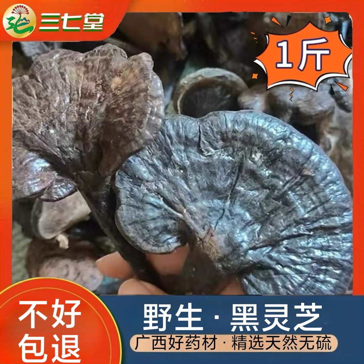 正宗深山特级野生灵芝干货500g纯天然竹灵芝小红灵紫灵芝养生茶