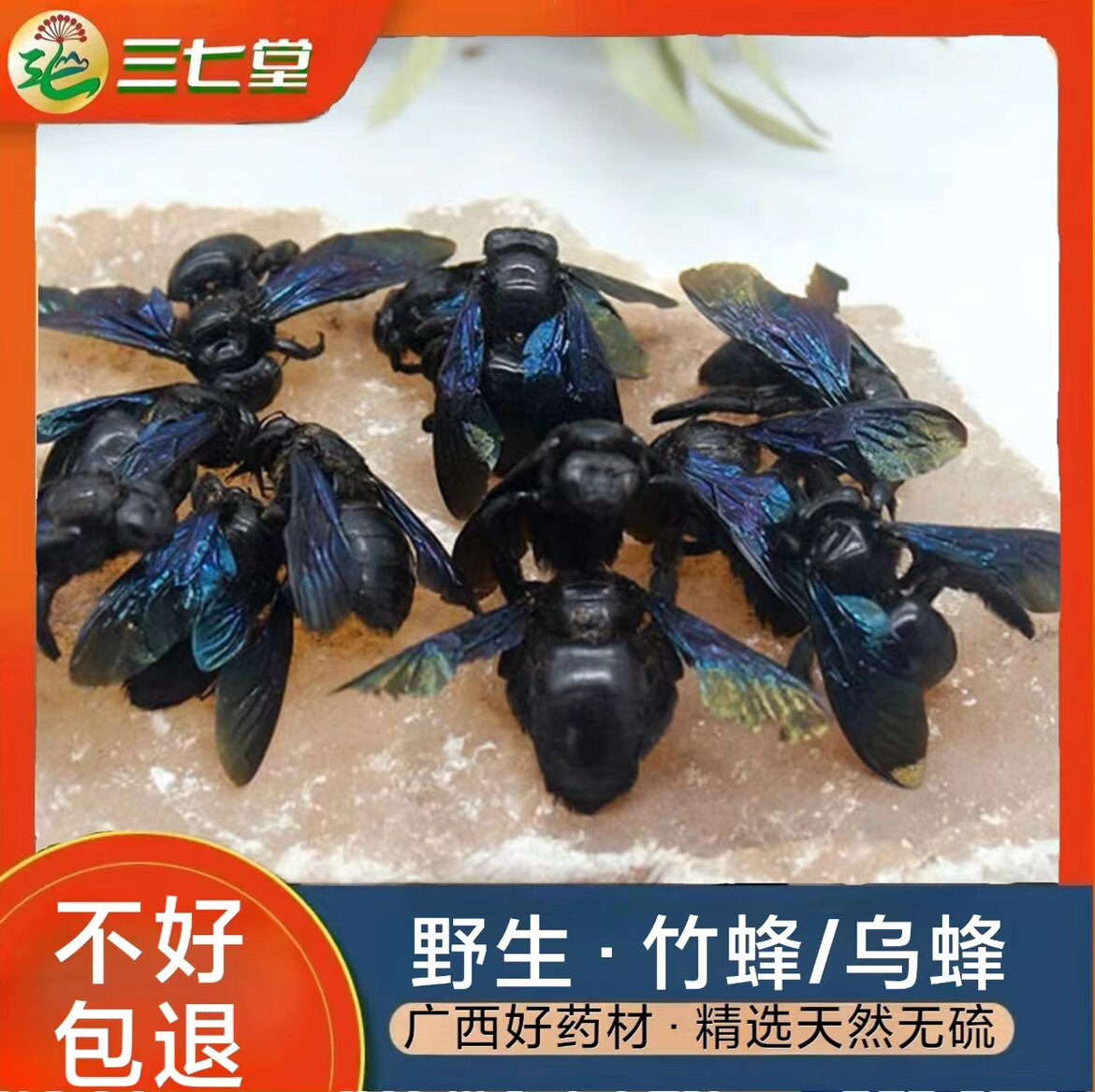 野生乌竹蜂 乌蜂 熊蜂 象蜂 大个咸竹蜂虫广西中草药材200只包邮