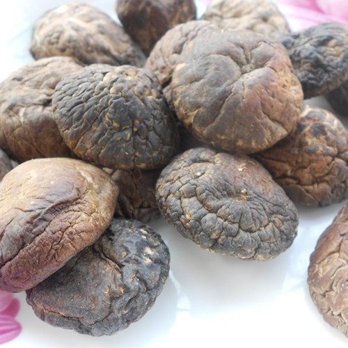 通江椴木香菇口感好精选500g南北干货肉厚味鲜无硫农家干货,粮油调味/速食/干货/烘焙,香菇类,淘宝优惠券,粉丝福利购,淘宝优惠卷