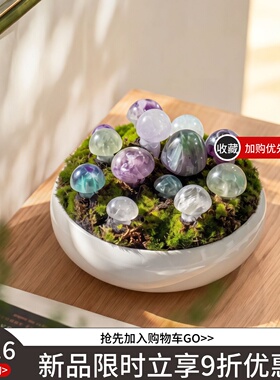 【本尼家】HY390大号现代创意微型景观蘑菇盆景轻奢家居装饰摆件