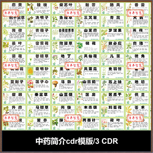 中草药简介药名cdr格式可编辑展板DM 宣传画