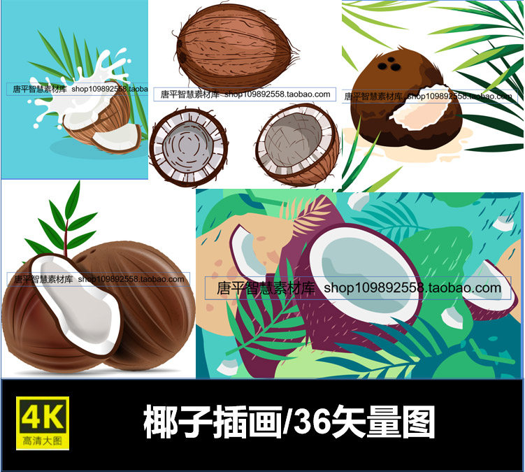 椰子椰壳椰肉椰汁空壳插画矢量可编辑eps文件ai格式