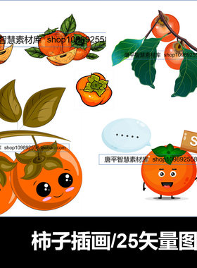 柿子水果新鲜秋天冬天水果甜红色橘色插画矢量eps格式ai文件