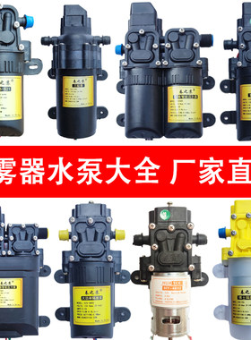 电动喷雾器12v水泵车载大功率