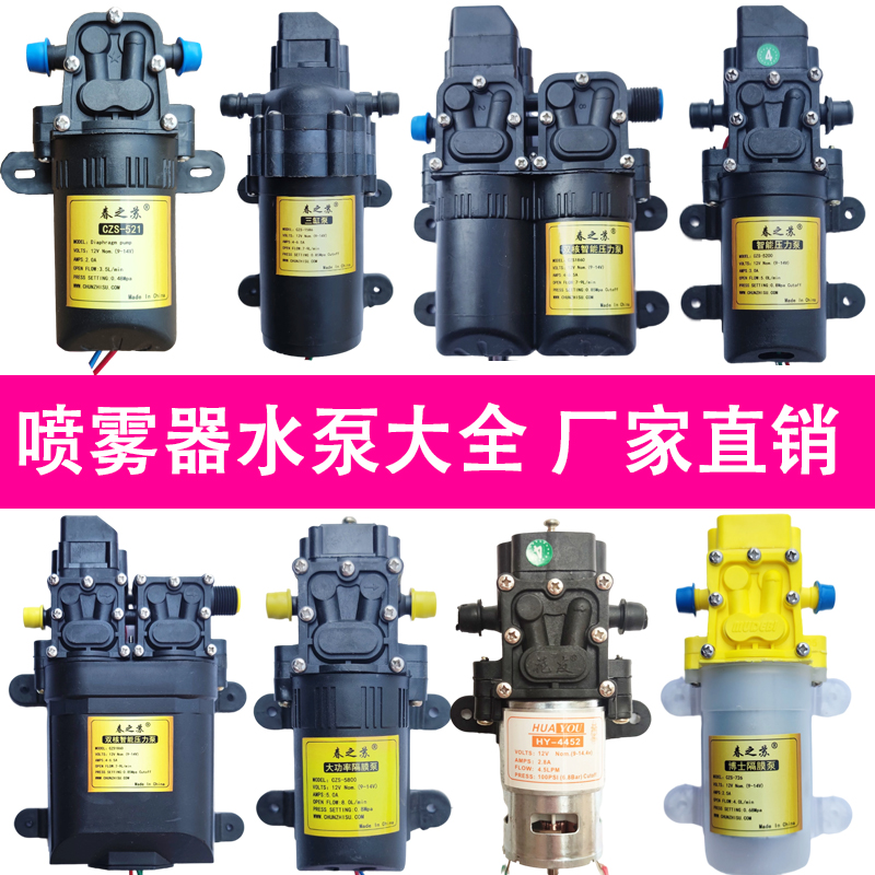 12v电动喷雾器水泵车载大功率