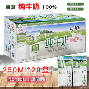 (25年11月日期)20盒装 日照莒县特产 百慧纯牛奶生牛乳送礼一整箱