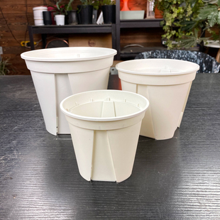 日本原装 白色青山控根盆  进口正版白青山 ins 网红热植塑料花盆