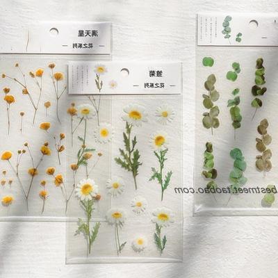 PET Stickers Flowers Leaves Plants Sticker for Scrapbooking