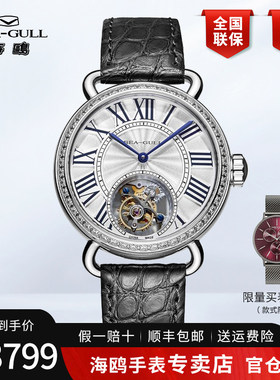 正品海鸥手表男士情侣对表陀飞轮机械表男表女表女士维罗纳6032L