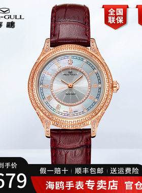 正品海鸥手表女士时尚镶钻潮流全自动机械表女表大师319.17.1103L