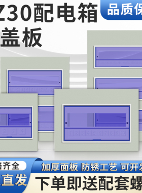 pz30科美帝盖板强电箱盖子家用空开照明箱PZ30铁面板塑料箱通用盖