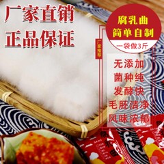 腐乳曲粉家用霉豆腐曲做豆腐乳的霉菌毛霉菌豆渣豆豉腐乳粉曲粉