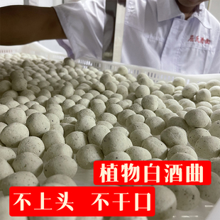 白酒曲500g酿白酒专用酵母菌粉传统熟料固液态中草药酒曲酒药