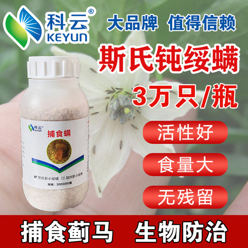 科云斯氏钝绥螨蓝莓蓟马天敌