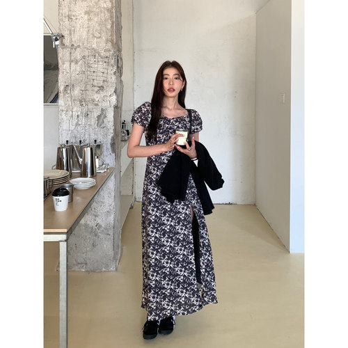 Halo Luu水墨印花短袖连衣裙女夏复古碎花设计感气质显瘦长款裙子