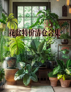 清仓特价 外贸出口 孤品 手工  陶瓷花盆 多肉花盆 工具桶 收纳