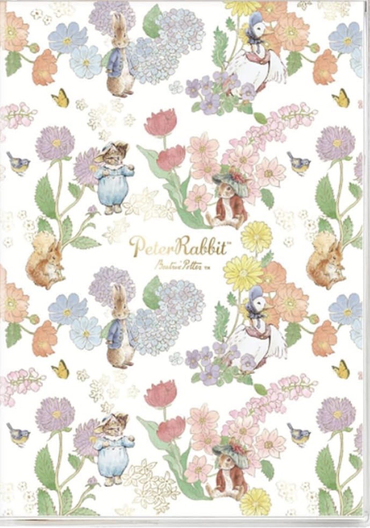现货日本制Peter Rabbit彼得兔清新插画全彩页2027年B6月计划手帐