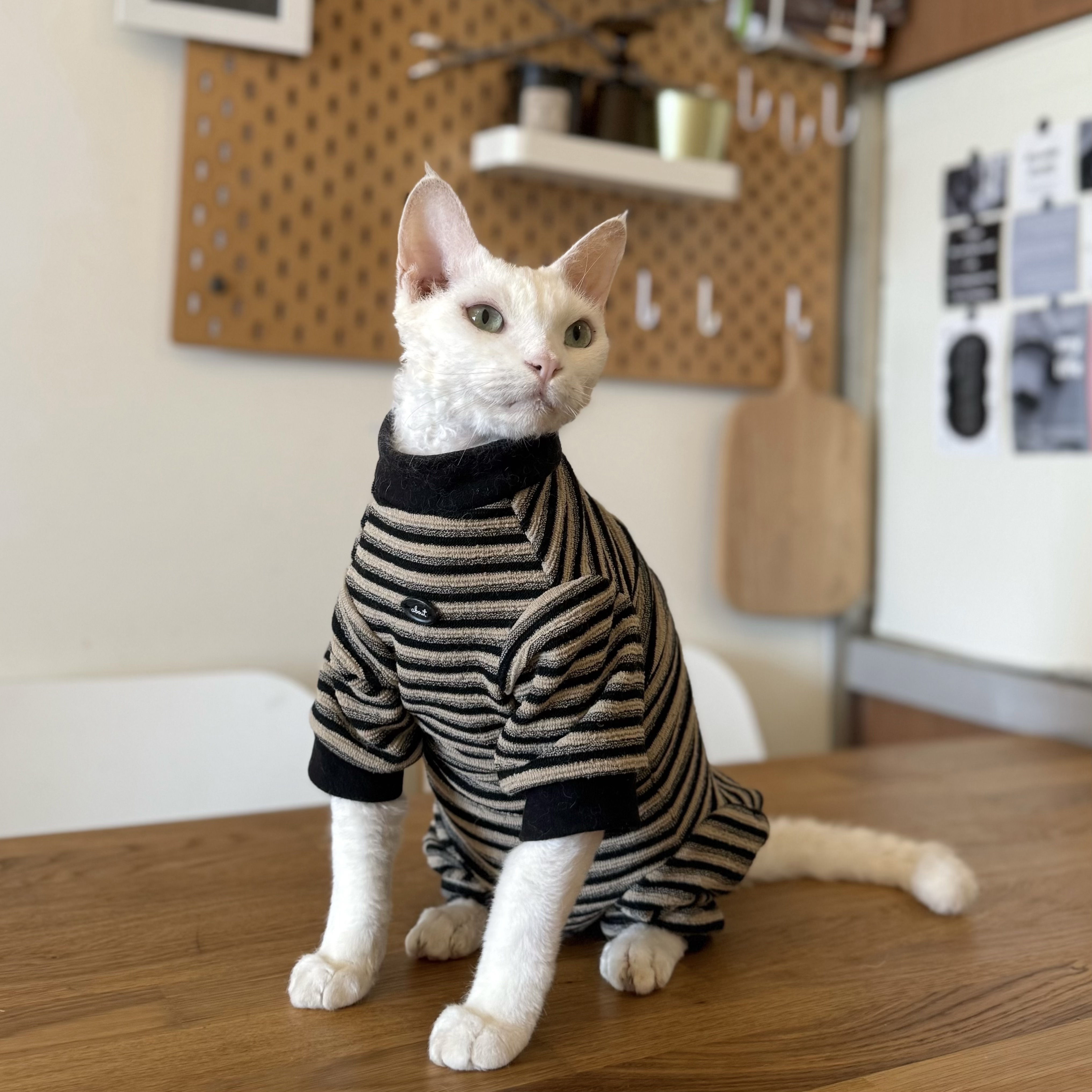 好看又保暖！韩系条纹四腿打底衫