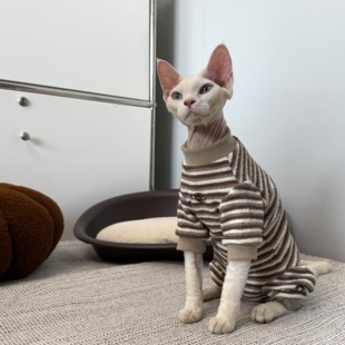 秋冬阿比无毛猫衣服德文韩系家居衫加厚护肚四腿打底衫小猫狗狗潮