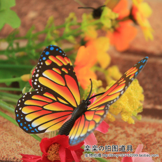 仿真唯美栩栩如生蝴蝶 网店影棚拍摄拍照摄影道具