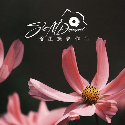 摄影师水印旅拍旅行水印照片防盗logo设计摄影logo定制水印329