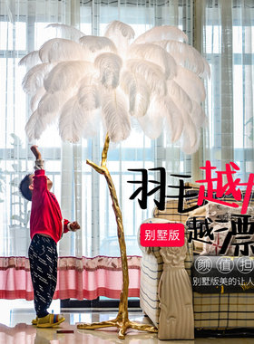 别墅用的大羽毛落地灯客厅落地灯