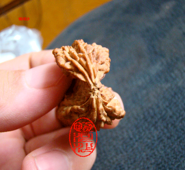 恒河沙-尼泊尔的一瓣金刚菩提子异性菩提文玩收藏震撼独一家