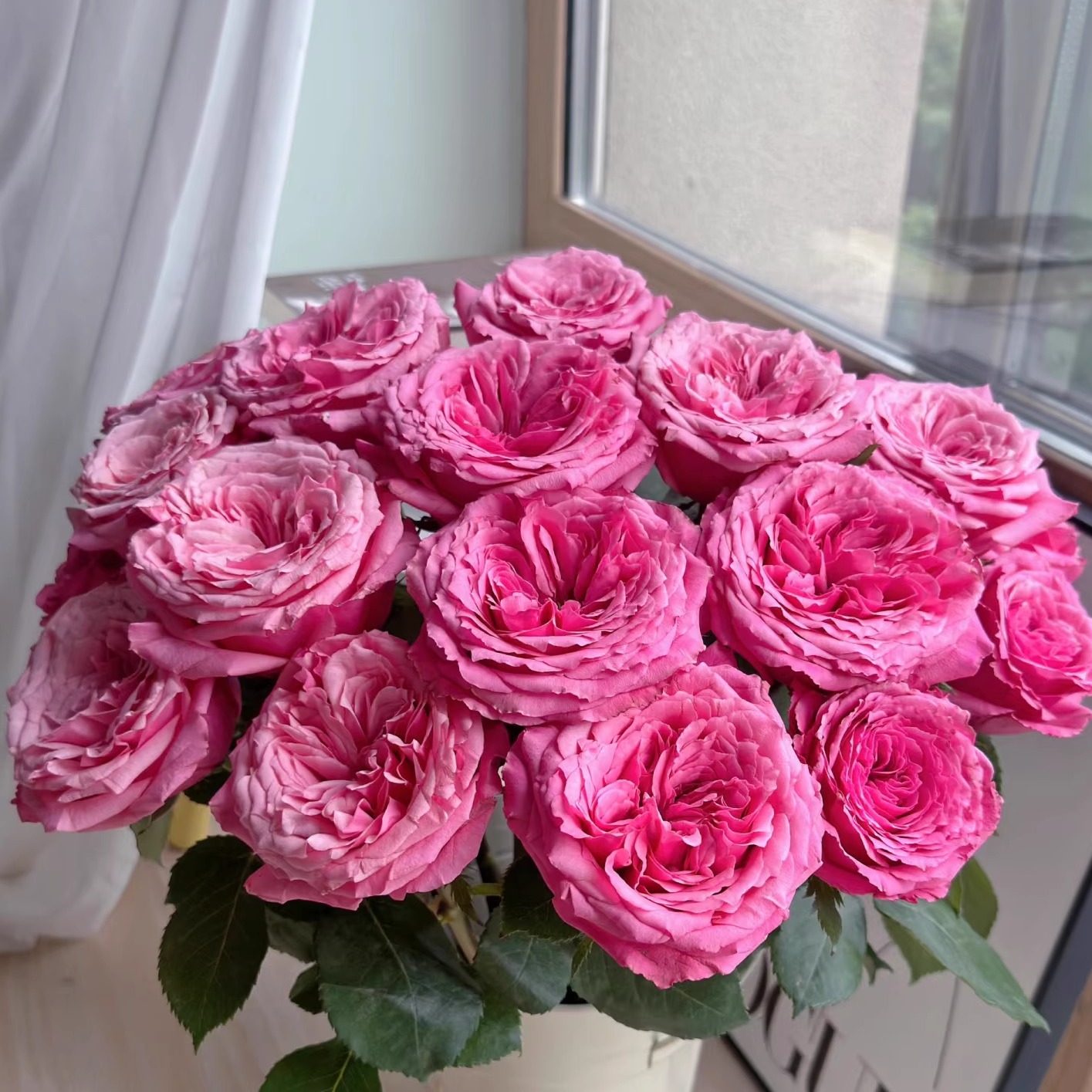 小红莓玫瑰-高等级玫瑰/全场1单包邮送货上门/满2单升级顺丰包邮