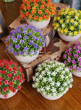 北欧风仿真植物小盆栽装饰花摆件