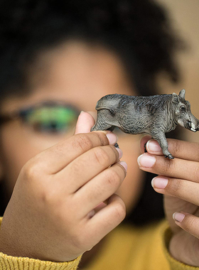 疣猪14843德国Schleich思乐森林野生动物母疣猪儿童仿真塑胶模型