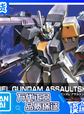 现货 万代 HG SEED HD R02 1/144  GAT X102 决斗高达 强袭尸装