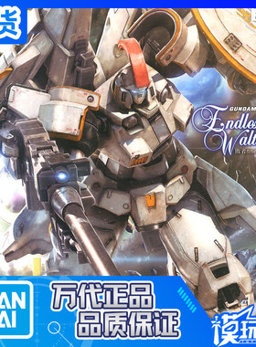 万代MG163特鲁基斯