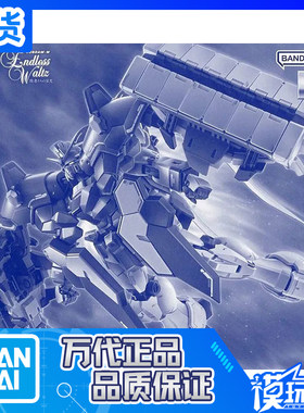 万代限定MG沙漠高达犰狳蜥蜴装备