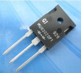 进口特价，一只起拍