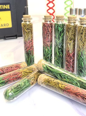 新款生化危机重置版t病毒恢复草药手工模型手办影视道具