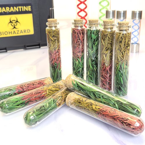 新款生化危机重置版t病毒恢复草药手工模型手办影视道具
